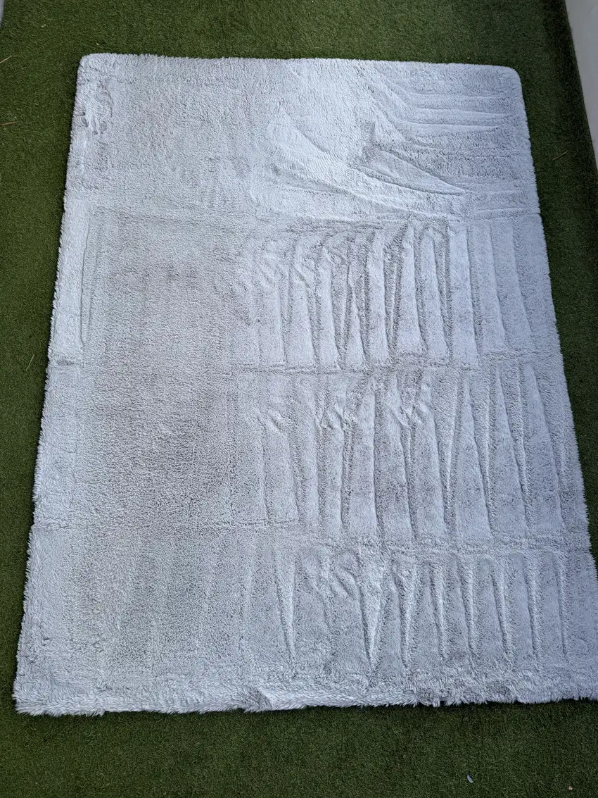 Après — Tapis à poils longs grisé par le passage